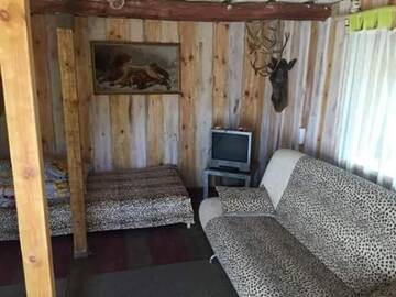 Фото номера Семейное бунгало Гостевой дом Усадьба Фазенда г. Cherevki 3
